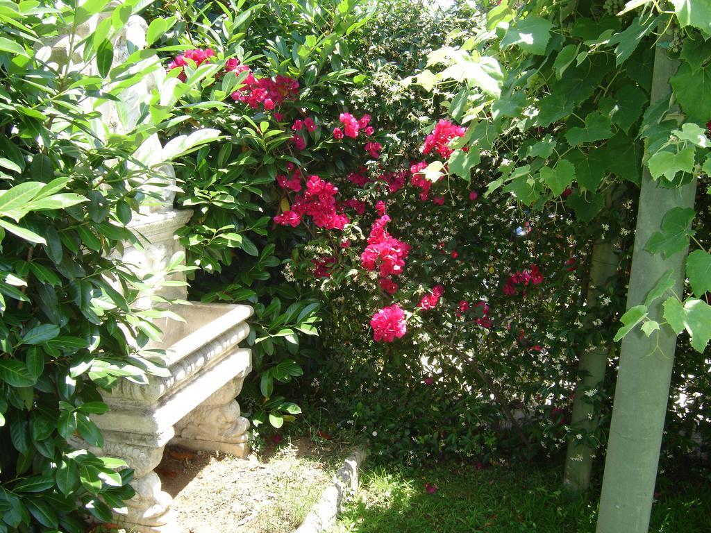 B&B Villa Fantasia Gaeta Kültér fotó